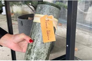 Bloklys &Oslash; 10 cm & XL