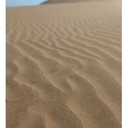 Sahara Zero Waste mini potte, Black