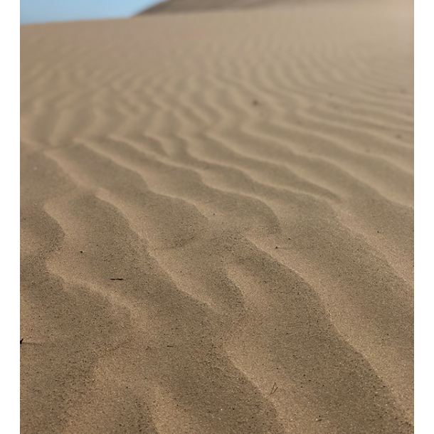 Sahara Zero Waste mini potte, Black