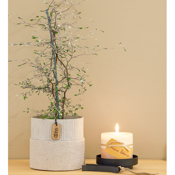 Jubilee pot, Light Grey