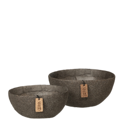 s/2 WOODz skle, Caffe