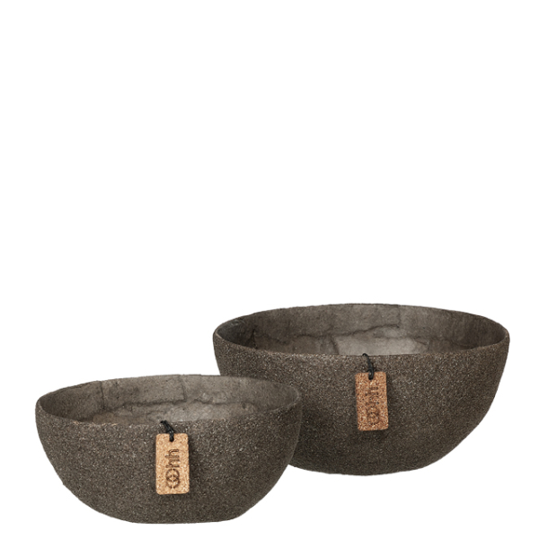 s/2 WOODz skle, Caffe