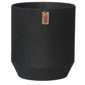 WOODz Alba Tall, Ash