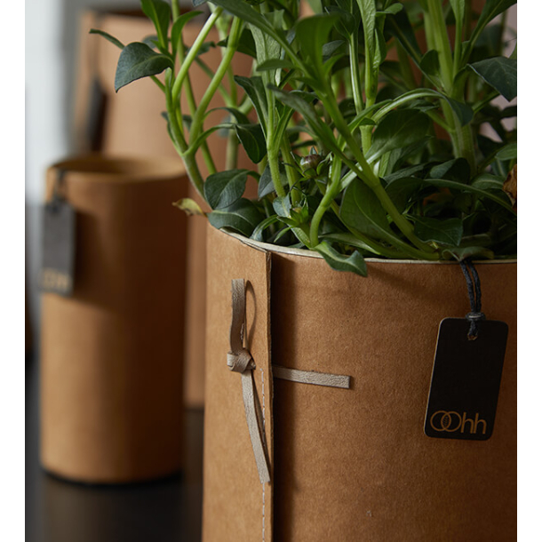 Loop Paper Pot, Natural