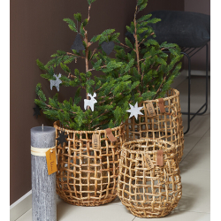 S/3 kurve, water hyacinth