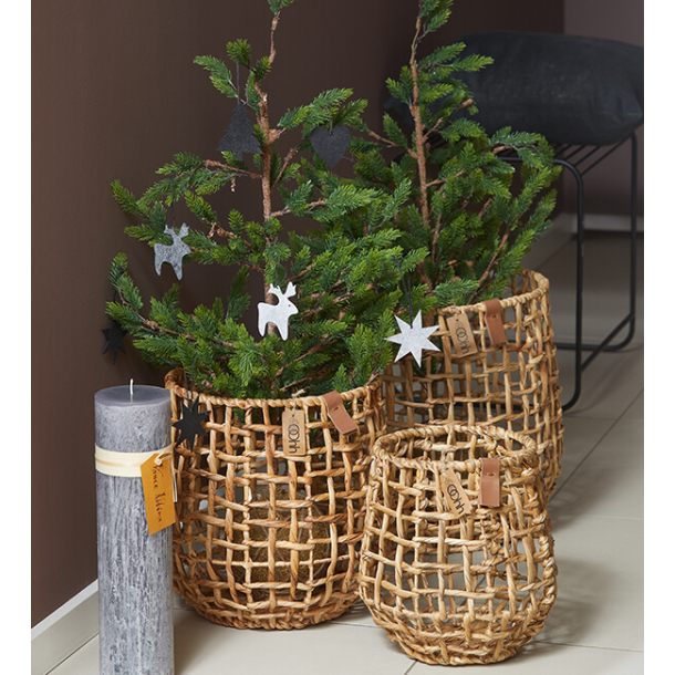 S/3 kurve, water hyacinth