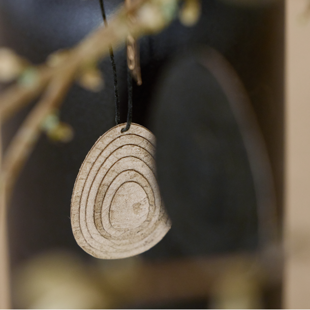 Easter Eggs - box of 6, Natural