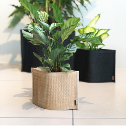 Mail Me - flat packed Flower Pot, Black