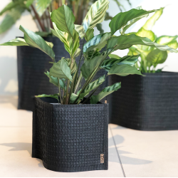 Mail Me - flat packed Flower Pot, Black