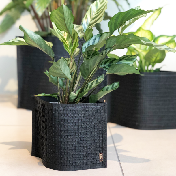 Mail Me - flat packed Flower Pot, Black
