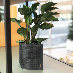 Mail Me - flat packed Flower Pot, Black