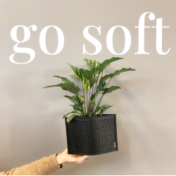 Mail Me - flat packed Flower Pot, Natural