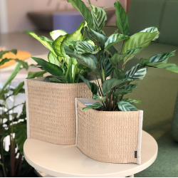 Mail Me - flat packed Flower Pot, Natural