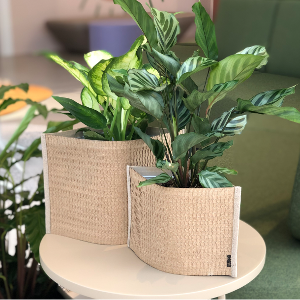 Mail Me - flat packed Flower Pot, Natural