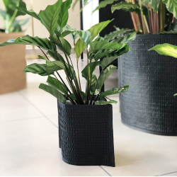 Mail Me - flat packed Flower Pot, Black