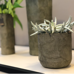 Pulp flower pot. Zero Waste, Black