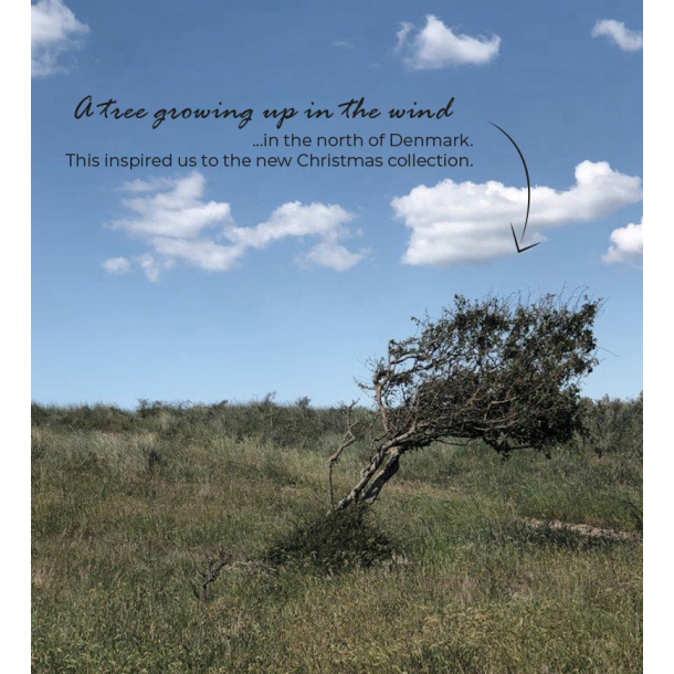 St af 3 Windy Trees, White