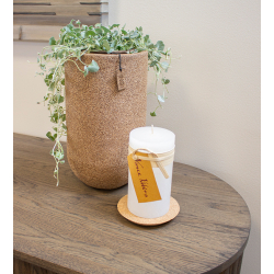 S/3 XL WOOD'z vase/pots, Light Wood