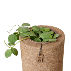 S/3 XL WOOD'z vase/pots, Light Wood