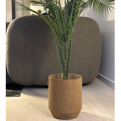 WOODz Alba Tall, Light Wood