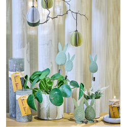 P�skehare, genbrugspapir, Natur