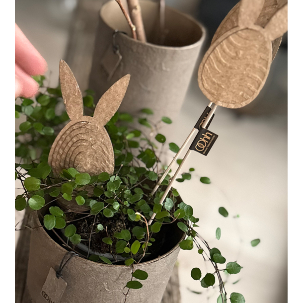 P�skehare, genbrugspapir, Natur