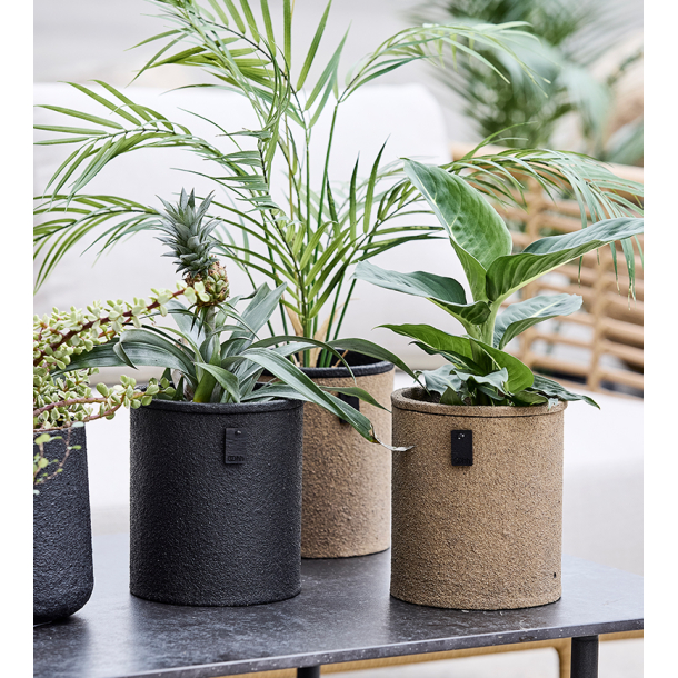 Outdoor Duo Pot, Light Wood