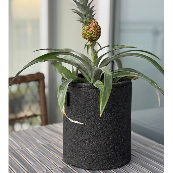 Outdoor Duo Pot, Black