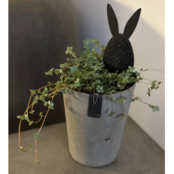 Tokyo orchid pot, Taupe