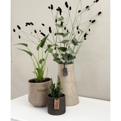 Pulp Knob Pot, Paper color