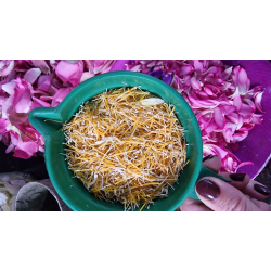 Kuvert m/12 pulp pskeornamenter, Lotus Yellow