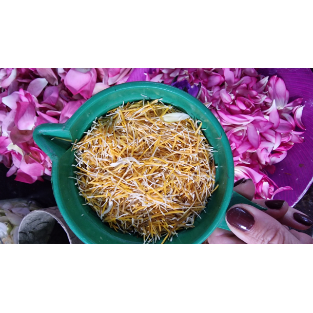 Kuvert m/12 pulp pskeornamenter, Lotus Yellow