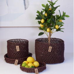 Woven Paper Trays Set of 3, Fudge