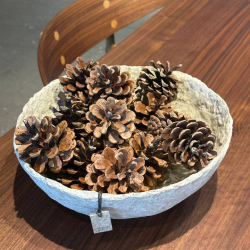 Clay Bowl, Sand