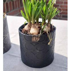 Cylinder Pot With Rounds, White