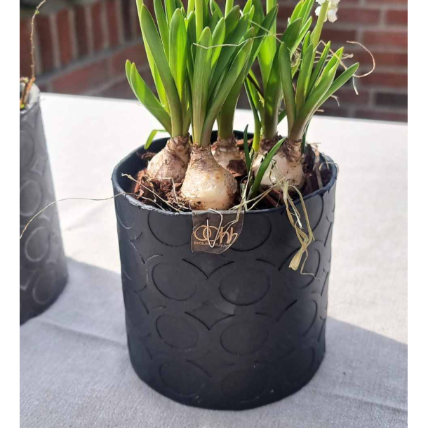 Cylinder Pot With Rounds, White