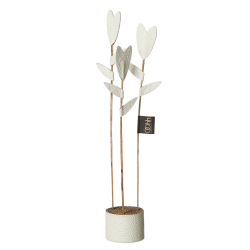 Tulip Deco, Off White