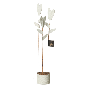Tulip Deco, Off White