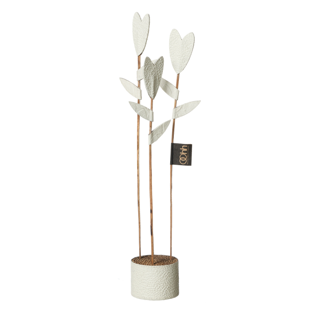 Tulip Deco, Off White