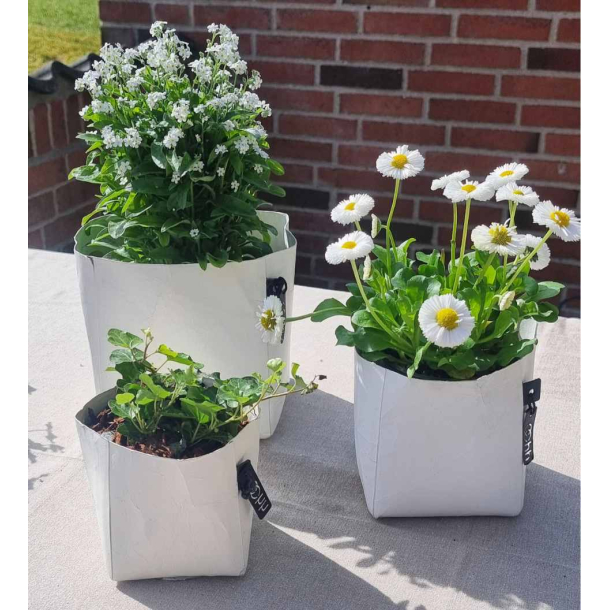 Florence potte, White 