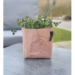 Florence potte, Terra Rosa