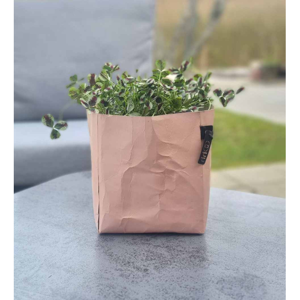 Florence potte, Terra Rosa