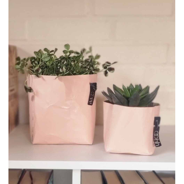 Florence potte, Terra Rosa 