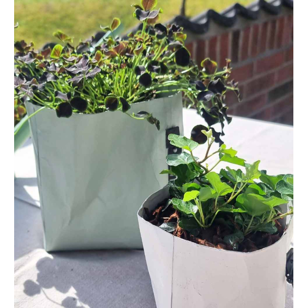 Florence potte, Valley Green