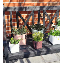 Florence potte, Terra Rosa 