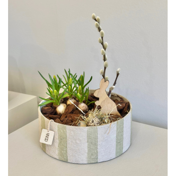 Hampton bakke. Sage/rhvid