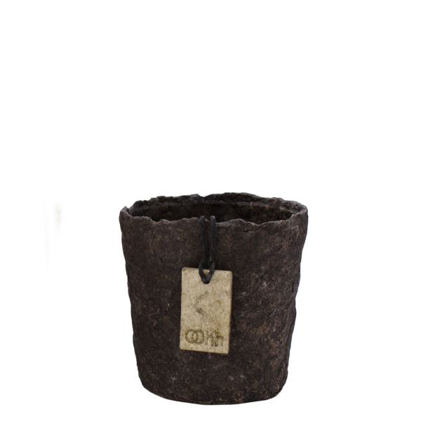 Clay Minipot, Caffe