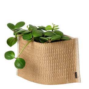 Mail Me - flat packed Flower Pot, Natural