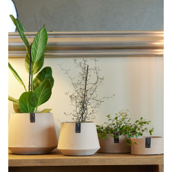 Tokyo Blomsterpotte, Light Brown