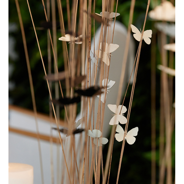 Butterfly decoration, Black